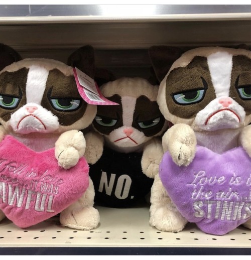 realgrumpycat:  ‪Show Them You REALLY Care with a Last Minute #ValentinesDay Grumpy Cat Plush. Available EXCLUSIVELY at CVS Pharmacy ‬  😂