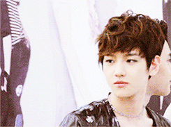chenchenthedancingmachine:arayun:credits: to the ownerThis moment just says so much.. Poor Chanyeol 