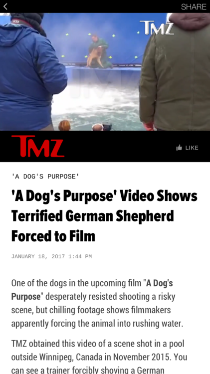 jezi-belle:adrawrable:ectoimp:hillyosaurus:yowulf:This HAS to go viral. This pathetic movie is abusi