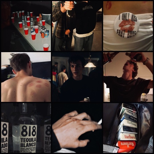Tumblr media
