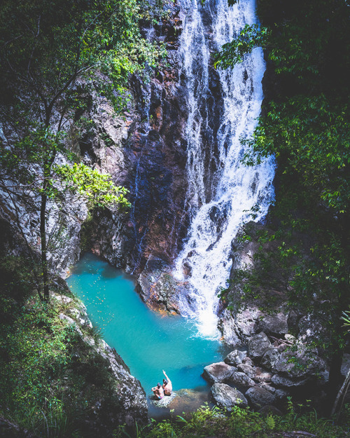 oceaniatropics: Kondalilla Falls, Queensland, Australia