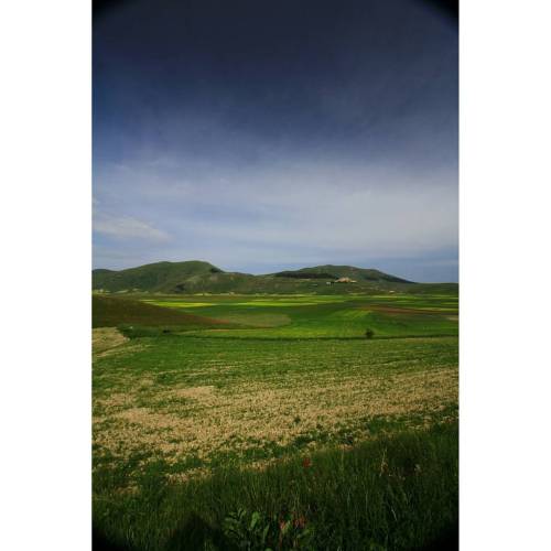 Presso Castelluccio Di Norcia 1452 Mt.