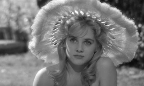 aestheticmovieclub:Lolita (1962)