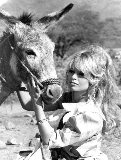 Brigitte Bardot and an animal friend on the set of Viva Maria! (1965).Eight years later, she turned 