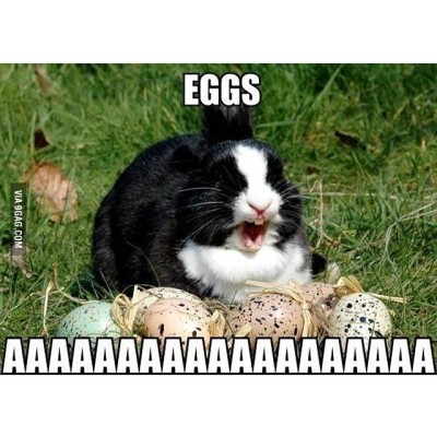 9gag:
“In light of Easter
”