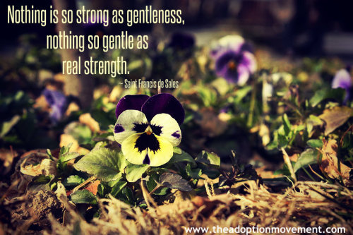 Nothing is so STRONG as gentleness, nothing so GENTLE as real strength. ~St. Francis de Sales