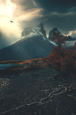 lsleofskye:  Torres Del Paine, Patagonia