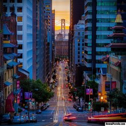 New Post has been published on http://animepics.hentaiporn4u.com/uncategorized/looking-down-san-franciscos-california-street-towards-the-bay-bridge/Looking