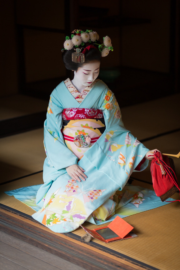 werkzaamheid zak vogel Koikishu "Stylish Master" — geisha-kai: October 2016: maiko Ayaha of  Pontocho...