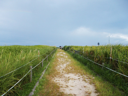 jeju island