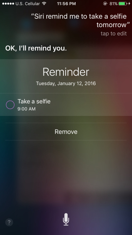 Porn haveitjoeway:  Siri wtf who takes selfies photos