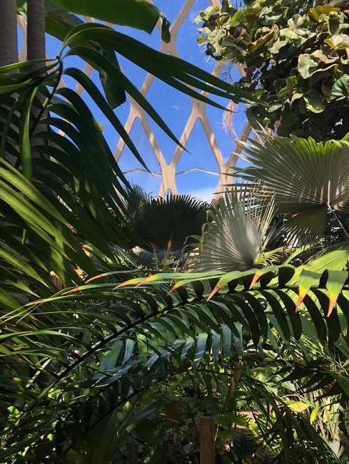 DENVER BOTANIC GARDEN, CO: inside and out.