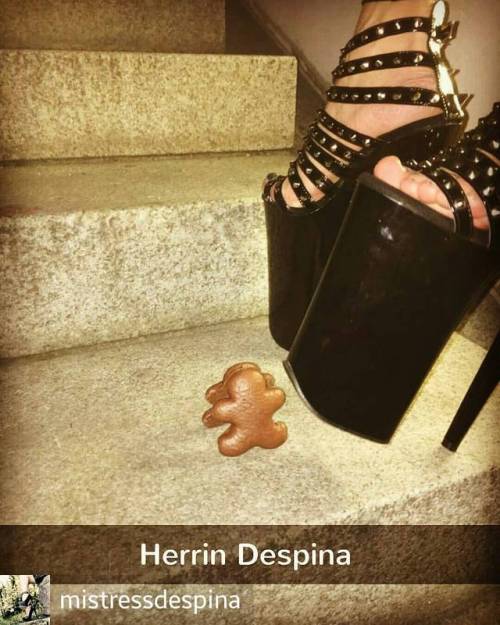 Credit to @mistressdespina : #pleaser #christmas #gingerbread #highheelsfetish #highheels #higheels 