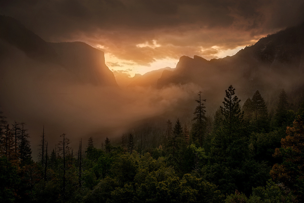 te5seract:     Awakening &amp;  Redemption  by Sapna Reddy Photography
