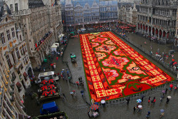 twloha:  According to the International Business Times, “some 120 volunteers spent seven hours” placing begonias on the square as a tribute to Turkish immigrants who began traveling to Brussels 50 years ago.  What a wonderful way to honor the beauty