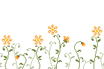 bigflowers