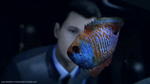 just-another-wholockian: Making gifs of every Connor scene from Detroit Become Human because I can {