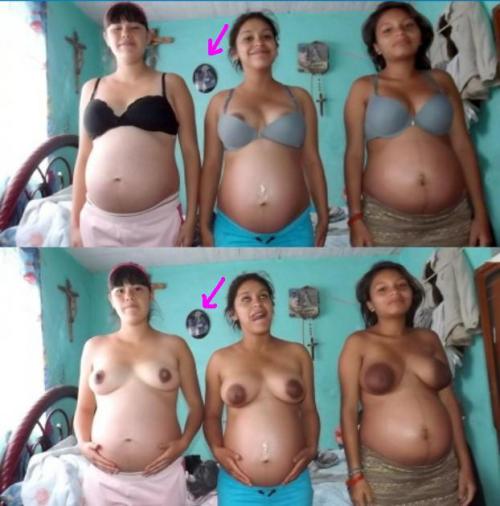 XXX sadic000:  Mis perritas embarazadas que ricas photo