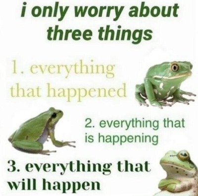 dankmemeuniversity: