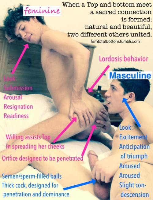 smokeandfuck420:  femtotalbottom:  A bottom derives immense satisfaction from feeling desirable in a