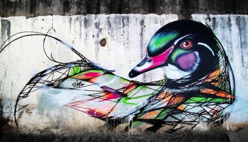 mymodernmet:  Graffiti birds by Luis Seven adult photos