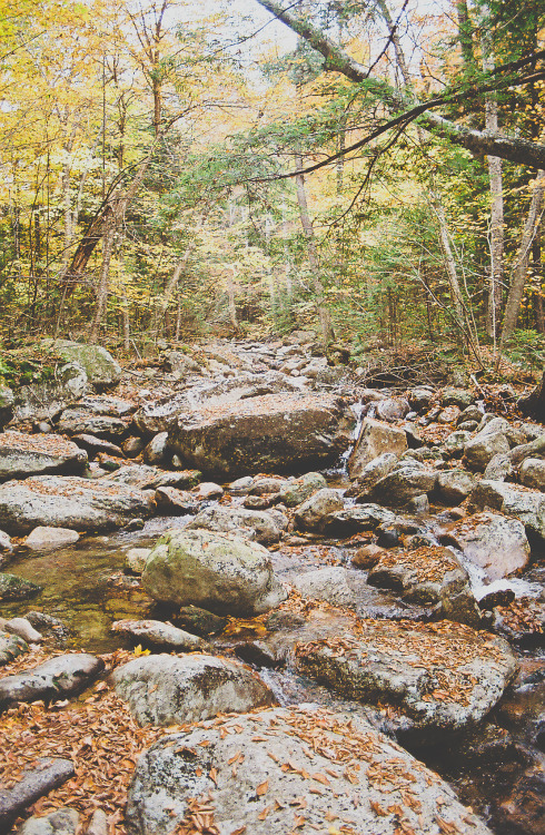 havefilm-willtravel:  Bridal Veil Falls  White Mountain National Forest New Hampshire, USA Fall 2013