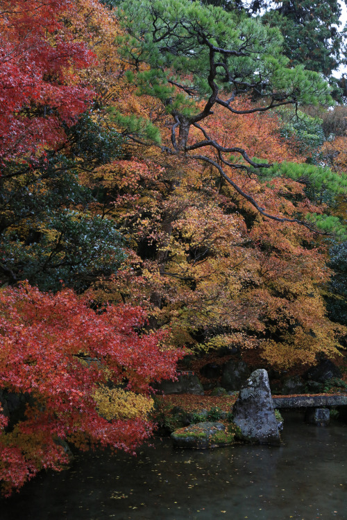 Autumn Renge-ji 蓮華寺airoplane.net/By : Norio NAKAYAMA