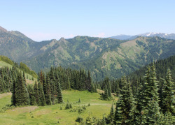 hannahaspen:  Hurricane Ridge, Olympic National