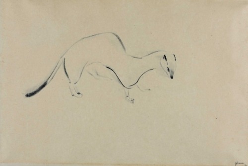 thunderstruck9:Morris Graves (American, 1910-2001), Stoat, 1954. Ink on paper, 45.7 x 66.7 cm.