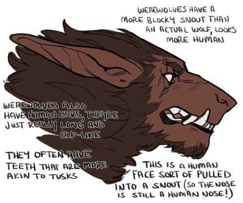 ghost-phage:a compilation of werewolf thoughts 