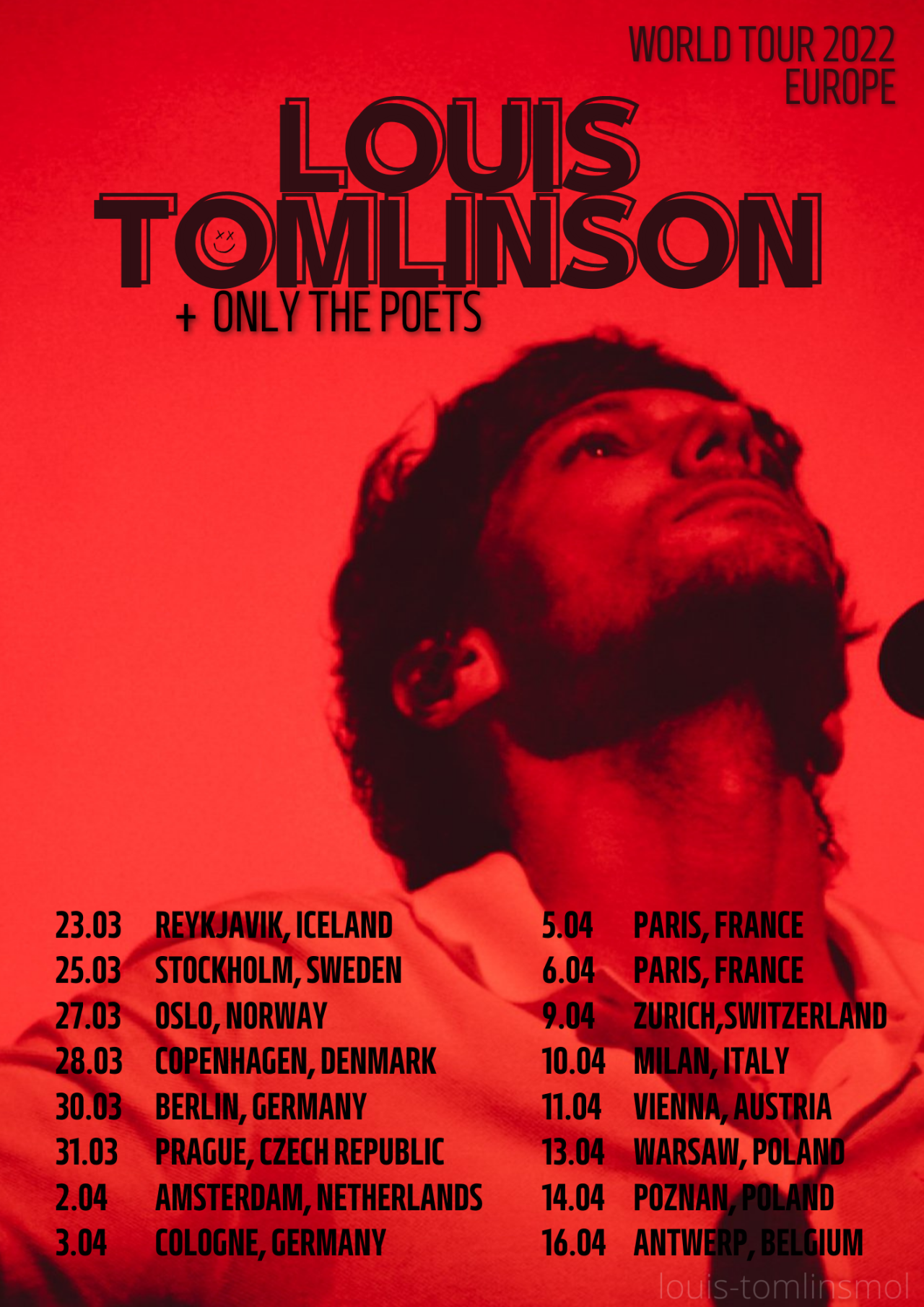 LOUIS TOMLINSON 2022 Tour Outfits Digital Poster 