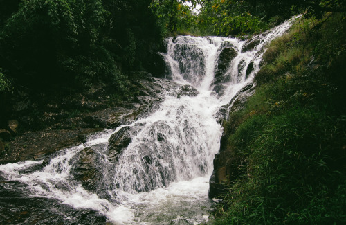 Datania - Da Lat, Vietnam