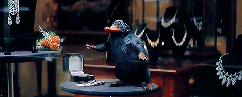 nathanielthecurious:snivellusriddikulus:Newt versus the Niffler (1/?)I’d like to point out that in L