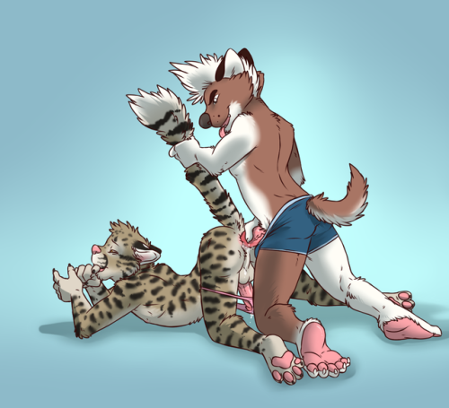femboy-z: furrytransformations: Artist - Aggro_Badger For more from this artist, please check out th