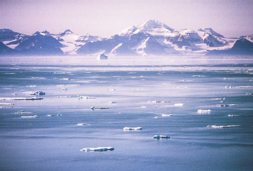 jacindaelena - Greenland byNicola Abraham