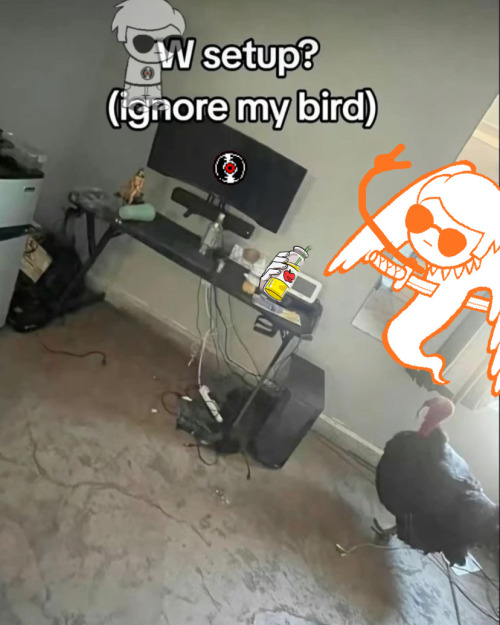 The Bird Is The Turkey. Dont Ignore Davesprite