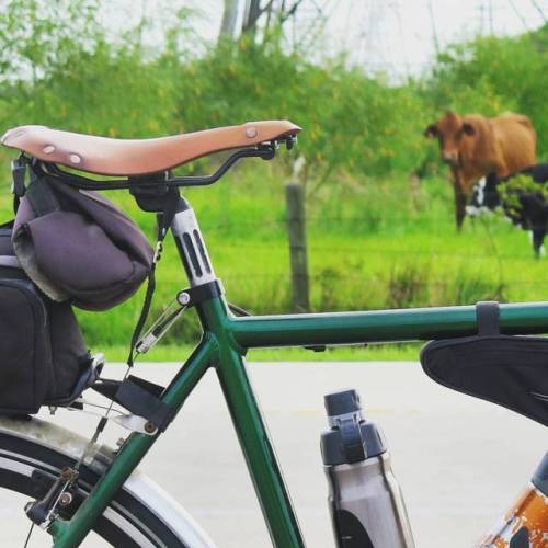 biketourings: No worries buddy I don’t make ‘em I just ride ‘em with @selleanatomica so comfy 