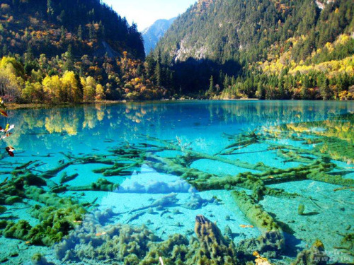 Crystalline turquoise lake, Jiuzhaigou National Park, China