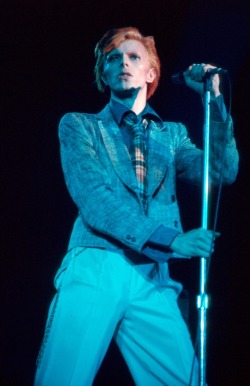 soundsof71:  David Bowie, Thin Blue Dog