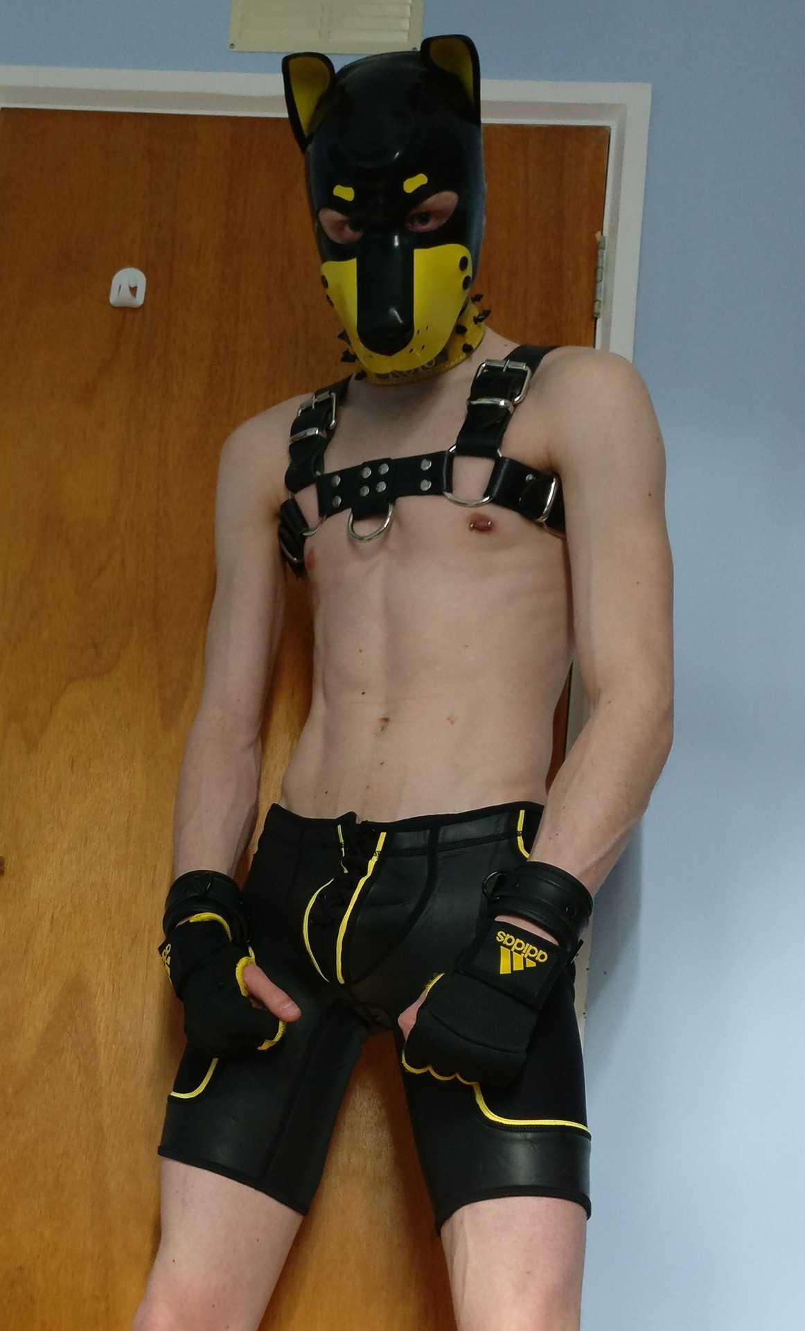 pup-rolo:  Over the last couple of posts I have given you a taste of Drone puppy