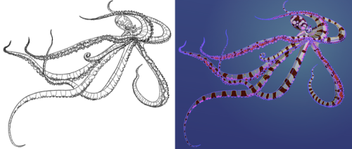 And now for something completely different - a drawing of a happy little wunderpus. jessieyou