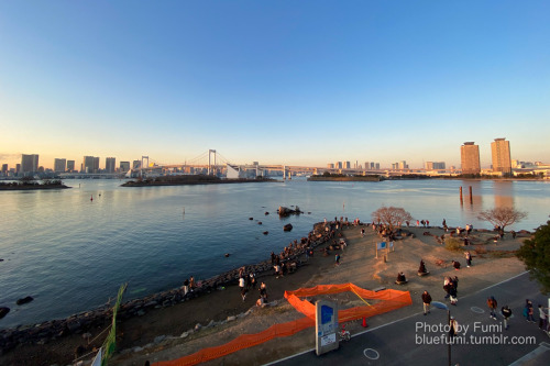 Tokyo”2020”だったはず外出もままならないので、過去写真を整理していたら2020年初めのお台場のオリンピック会場工事の景色が。確かトライアスロンの会場でしたよね。私の日記に新型コロナが初登場し