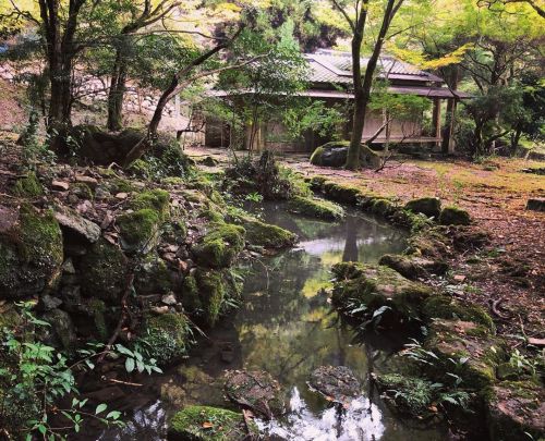 ⛳️1540. 神上寺雪舟庭園 Jinjo-ji Temple Sesshu Garden, Shimonoseki, Yamaguchi 2日間の山口県の庭園巡り、今日は4年ぶりに訪れた下関で庭園巡