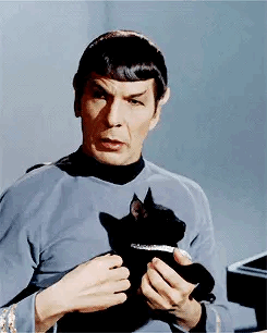 Spock With A Cat🥺