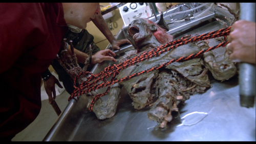 skurvykurr:  txcooksawyer:  THE RETURN OF THE LIVING DEAD 1985  And the award for Hottest Graveyard Strip Scene goes to… 
