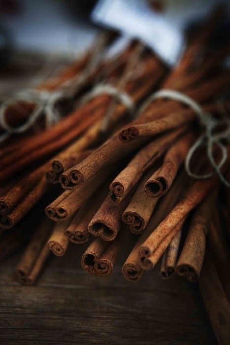 Magic- Witchcraft- Nature- Art
