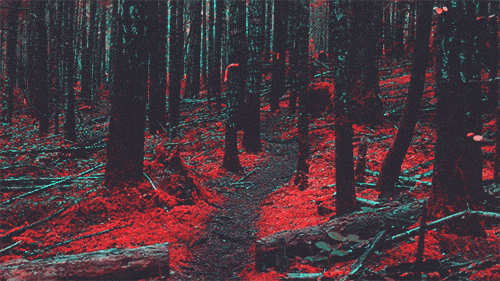 deeplovephotography:1 | 2 | 3 instagram | flickr | facebook