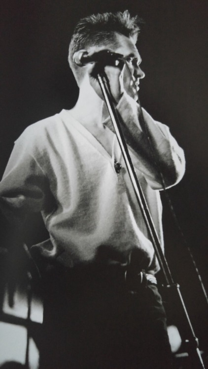 goldenlightsfan: Morrissey by Nalinee Darmrong (from her new book)