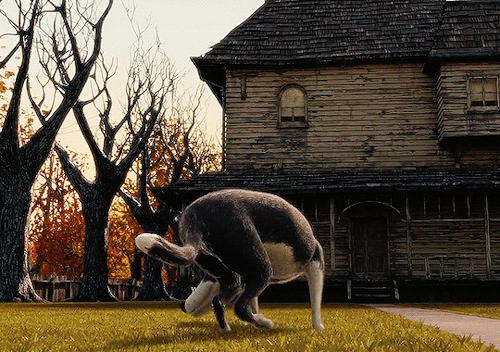 MOTIONPICTURESOURCE'S 31 DAYS OF HALLOWEEN 2023