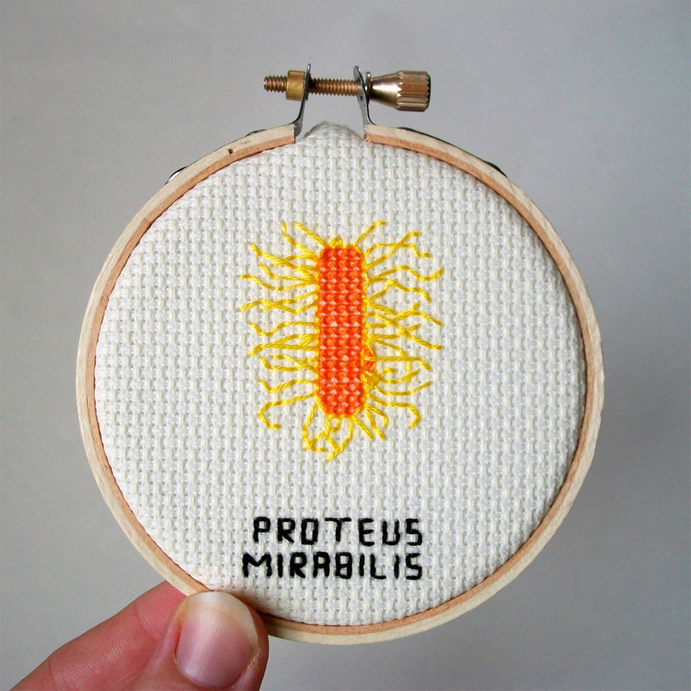 culturenlifestyle:  Adorable Cross-Stitched Illustrations of Microbes and Germs by